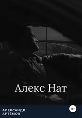 Александр Артемов - Алекс Нат