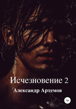 Александр Артемов Исчезновение 2 обложка книги
