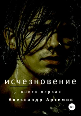 Александр Артемов Исчезновение. Книга первая обложка книги