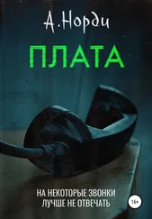 А. Норди - Плата