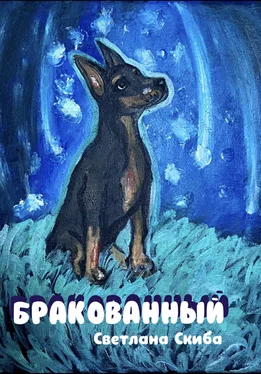 Светлана Скиба Бракованный обложка книги