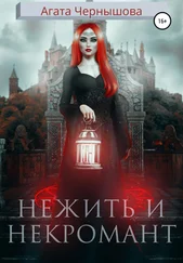 Агата Чернышова - Нежить и некромант
