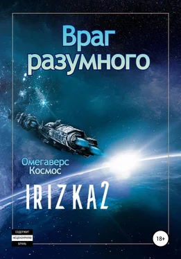 Irizka2 Враг разумного обложка книги