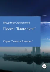 Владимир Стрельников - Проект «Валькирия»