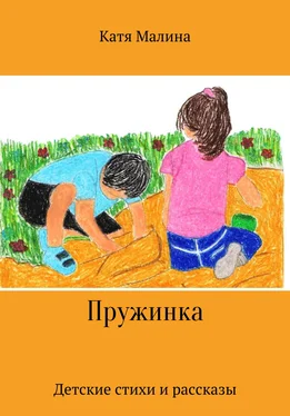 Катя Малина Пружинка обложка книги
