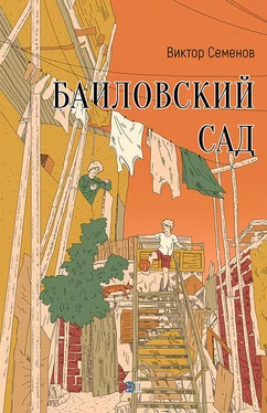 Виктор Семенов Баиловский сад обложка книги