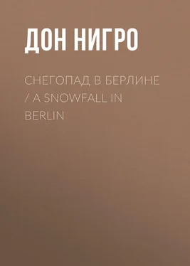 Дон Нигро Снегопад в Берлине / A Snowfall in Berlin обложка книги