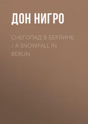 Дон Нигро - Снегопад в Берлине / A Snowfall in Berlin