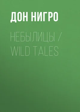 Дон Нигро Небылицы / Wild Tales обложка книги