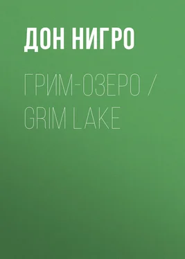 Дон Нигро Грим-озеро / Grim Lake обложка книги