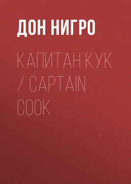 Дон Нигро Капитан Кук / Captain Cook обложка книги
