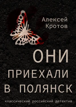 Алексей Кротов Они приехали в Полянск обложка книги