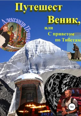 Александр Пушко ПутешестВеник, или С приветом по Тибетам обложка книги