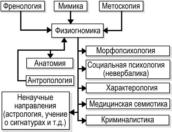 Древние персы отбирали наиболее достойного претендента на престол по размерам и - фото 1