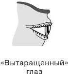 Тип глазаВытаращенный выпуклый белок с кровавыми прожилками и желтоватым - фото 17