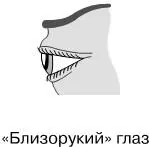 Тип глазаБлизорукий глаз находится в продольной узко прорезанной глазной - фото 18