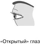 Тип глазаОткрытый глаз широко открыт взгляд направлен в упор на слушателя - фото 21