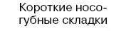 ЗНАК НЕОБЫЧАЙНОЙ МОЩИ Люди у которых помимо носогубных складок - фото 31