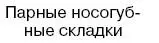 Психология обмана Инструкция для манипуляторов - фото 35
