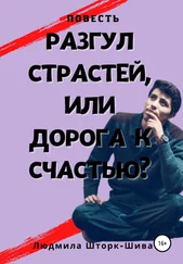 Людмила Шторк-Шива - Разгул страстей, или Дорога к счастью
