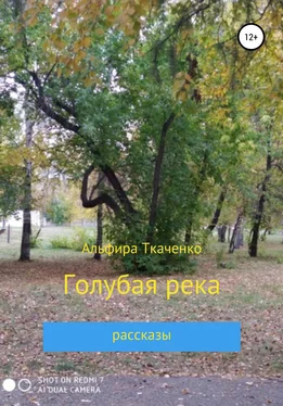 Альфира Ткаченко Голубая река обложка книги