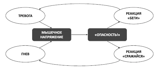 Рис 8 Порочный круг мышечного напряжения Однако будучи воспитанными и - фото 10
