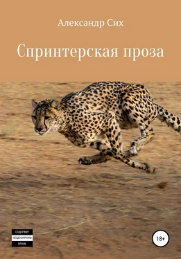 Александр Сих Спринтерская проза обложка книги