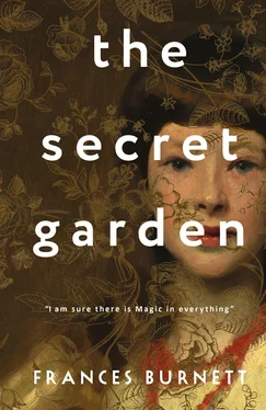 Frances Eliza Hodgson Burnett The Secret Garden обложка книги