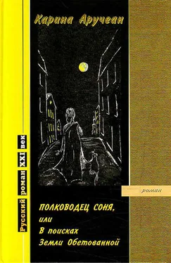 Карина Аручеан Полководец Соня, или В поисках Земли Обетованной обложка книги