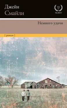 Джейн Смайли Немного удачи обложка книги