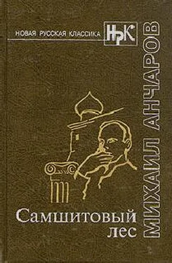 Михаил Анчаров Самшитовый лес. Этот синий апрель... Золотой дождь обложка книги