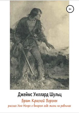 Джеймс Уиллард Шульц Брат Красной Вороны обложка книги