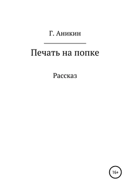 Герасим Аникин Печать на попке обложка книги