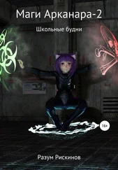 Разум Рискинов - Маги Арканара 2. Школьные будни
