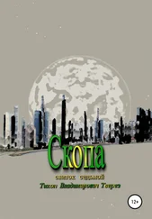Тихон Тверез - Скопа