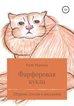 Катя Малина Фарфоровая кукла обложка книги