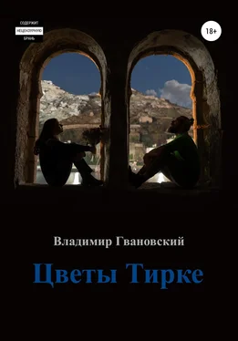 Владимир Гвановский Цветы Тирке обложка книги