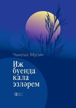 Чингиз Мусин Иж буенда кала эзләрем / Иж – моя колыбель обложка книги