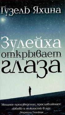 Гүзәл Яхина Зөләйха күзләрен ача / Зулейха открывает глаза обложка книги