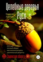 Евдокия Ладинец - Целебные деревья Руси
