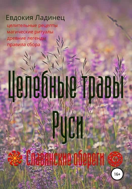 Евдокия Ладинец Целебные травы Руси обложка книги