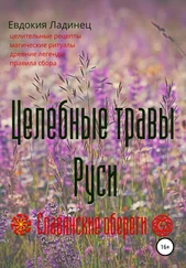 Евдокия Ладинец - Целебные травы Руси