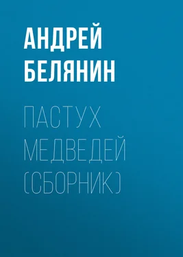 Андрей Белянин Пастух медведей (сборник) обложка книги