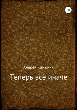 Андрей Камынин Теперь всё иначе обложка книги