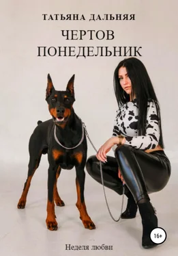 Татьяна Дальняя Чертов понедельник обложка книги