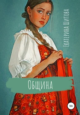 Екатерина Шитова Община обложка книги
