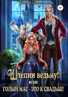 Елена Амеличева Шлепни ведьму! или Голый маг – это к свадьбе! обложка книги