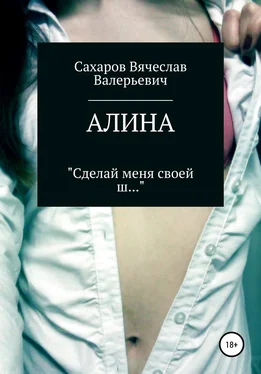 Вячеслав Сахаров Алина обложка книги