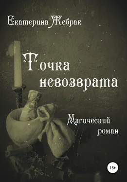 Екатерина Жебрак Точка невозврата. Магический роман обложка книги