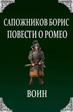 Борис Сапожников Воин обложка книги